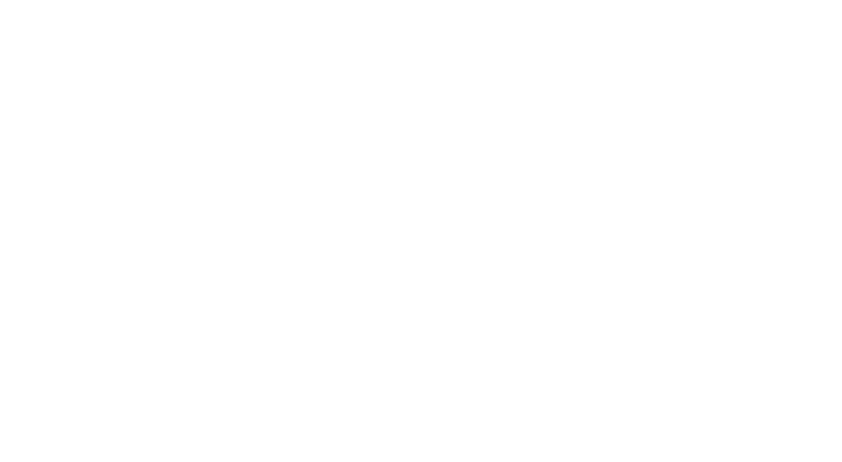 FDR Engineers Logo WHITE